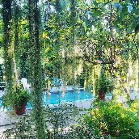 Orchid Cottage-2
